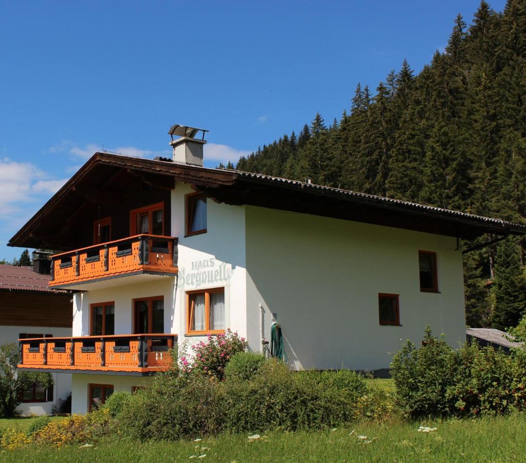 Haus Bergquell Διαμέρισμα Ramsau am Dachstein Εξωτερικό φωτογραφία